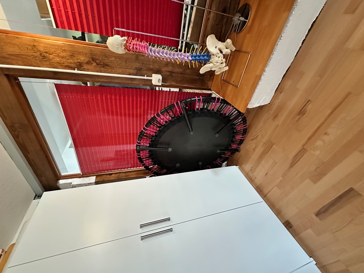 Therapeutisches Material — Trampolin und Wirbelsäulenmodell